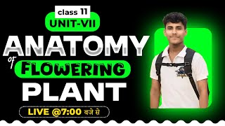 ANATOMY OF FLOWERING PLANTS CLASS 11  NCERT DEEP LINES  COMPLETE NCERT FOR NEET 2025 [upl. by Snodgrass749]