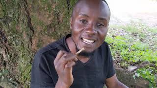 How To Clean Teeth Without A Toothbrush and ToothpasteAfrican Village Life [upl. by Wj]