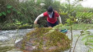 👉From Mud to Millions Teenagers Unlikely Find of Giant PearlBearing Clam in the Wild [upl. by Therese]