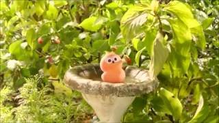 30 Minutes Long EDF Energy Advert quotDancing Zingy [upl. by Agace]