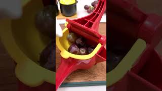 Pure Juice Pure Joy Ondaum Worlds Hand Powered Fruit Juicer manualjuicer freshjuice [upl. by Langsdon217]