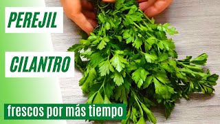 Como Conservar Hierbas Aromáticas Frescas  Perejil y Cilantro Frescos Mucho más Tiempo 75 [upl. by Casper]