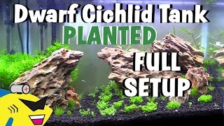 DWARF CICHLID PLANTED AQUARIUM SETUP [upl. by Rask404]