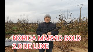 CARABINA NORICA MARVIC GOLD 20 DE LUXE joselucarabinaspcp [upl. by Ennairak]