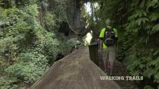 Explore the Hamilton amp Waikato region of New Zealand [upl. by Enened150]