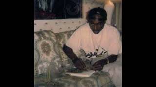 Makaveli  Mista Killuminati unreleased album 1996 check description [upl. by Nitsreik]