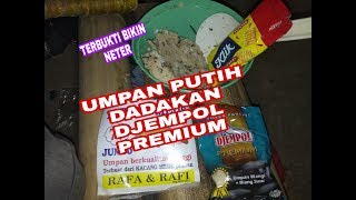 UMPAN PUTIH IKAN MAS DADAKAN DJEMPOL PREMIUM [upl. by Benito]