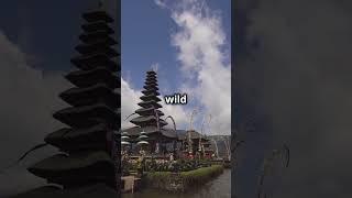 The Ultimate Bali Travel Guide Everything You Need To Know [upl. by Victor]