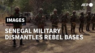 Senegal the army dismantles armed rebel bases in Casamance  AFP [upl. by Salohcin]