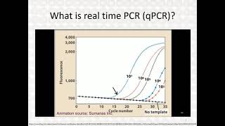 Real Time PCR  Part 3 [upl. by Eirbua678]