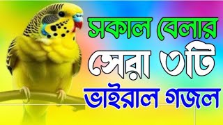 মায়ার নবী আছেন শুয়ে সুনার মদিনায় √ new gojol bangla gojol islamic gozol 2024 gojol [upl. by Tally]