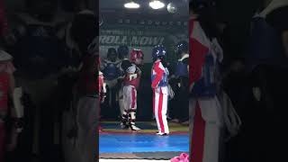 Kick techniques elrichtv martialartstraining taekwondotraining taekwondokicks [upl. by Attenweiler]