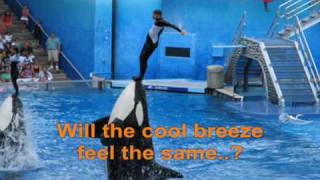 Seaworld Believe Killer Whale Shamu Show Soundtrack Black And White [upl. by Grochow763]