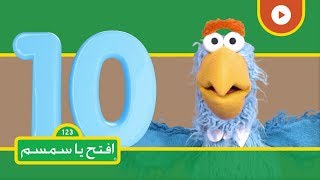 هيا نتعلم العد والأرقام  افتح يا سمسم الموسم الثاني  الحلقة 42 [upl. by Sinnelg353]