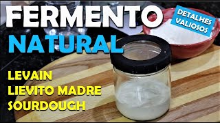 COMO FAZER FERMENTO NATURAL  LEVAIN  PARA PIZZAS E PÃES [upl. by Etsirhc]