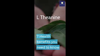 L Theanine 7 Health benefits [upl. by Ecinrev454]