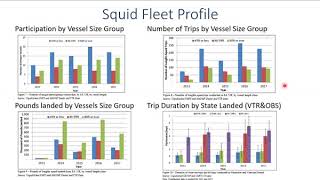 Characterization of Inshore Springtime Small Mesh Trawl Fishery for Longfin Squid [upl. by Amye788]