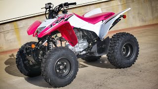 New 2023 Honda TRX250X Sport ATV  Quad  Walkaround  Exhaust Sound [upl. by Eppillihp]