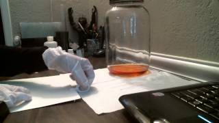 MLF How to test for malolactic fermentation [upl. by Schwarz23]