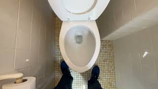 🚽 Bathroom Tour Gerber Toilet at the Starlux Motel Wildwood NJ [upl. by Urien]