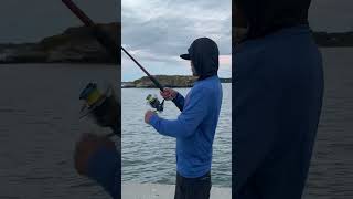 Part 1…”Got it” Fish number 1 at Fort Wetherill State Park [upl. by Solrak]