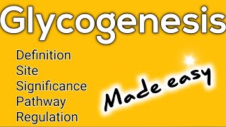 Glycogenesis made easy Definition ll Site ll Pathway ll Significance ll Regulation [upl. by Medina512]