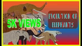 Evolution Of Elephant  Amebelodon  Animation  Eliphas Antiquus  History Of Elephants  Mastodon [upl. by Fina747]