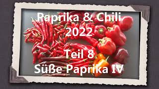 Paprika amp Chili 2022 Teil 8  Süße Paprika IV [upl. by Mordecai]