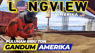 AMBIL GANDUM KE AMERIKA‼️KEDATANGAN MALL BERJALAN⁉️🤣  PELAUT INDONESIA [upl. by Eva]