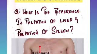 What is the difference between Liver amp Spleen palpation [upl. by Eilhsa]