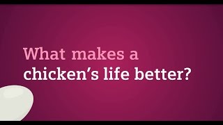 LOGO Makes a chickens life better [upl. by Carling]