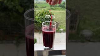 MONSTER PreWorkout Drink at Home [upl. by Andrel]