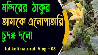 Ful Koli natural vlogs 08  Cucurbita maxima Plant  Ageratum  Tomato cultivation [upl. by Mauri]