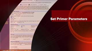 Primer Designing using UCSC Genome Browser [upl. by Reagen]