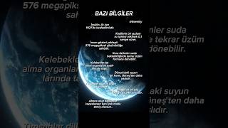 Bazı Bilgiler [upl. by Candice]