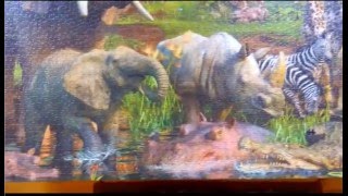 3000 Teile Ravensburger Puzzle Tiere an der Wasserstelle [upl. by Bertold]