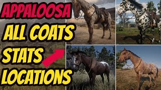 Red Dead Redemption 2 Appaloosa LOCATION amp ALL COATS amp STATS GOOD HORSE GUIDE [upl. by Netniuq]