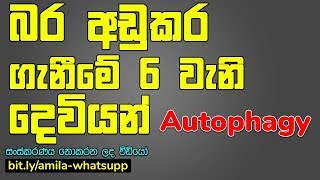 Sinhala Weight Loss  Step 6  Autophagy in Sinhala  unedited video [upl. by Paloma]