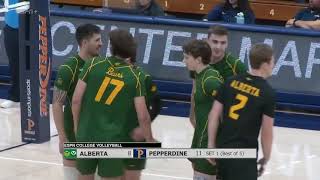 Alberta vs Pepperdine  NCAA Men Volleyball 01022024 [upl. by Koziarz987]