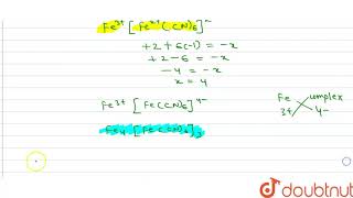 a Write the formula of the following coordination compound  Iron III hexacyanoferrate II b [upl. by Gagne959]