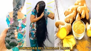 BENEFICIOS Y PROPIEDADES DEL JENGIBRE ¡¡4 IDEAS PARA EL CABELLO [upl. by Boarer524]