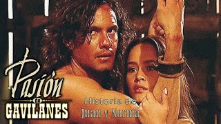 Pasion de Gavilanes PDG Juan y Norma 343  Ruth salva a Juan de la muerte [upl. by Amahcen]