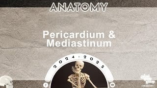 L1 Mediastinum and Pericardium Anatomy [upl. by Klute]