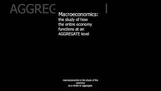 What is Macroeconomics [upl. by Lenci326]