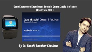 Gene Expression Experiment Setup in Quant Studio Real Time PCR [upl. by Vanessa]