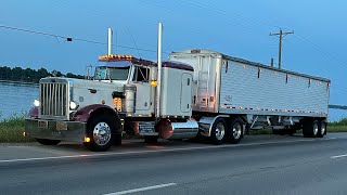 Not A Grain Hauler Today  Hopper Bottom Owner Operator Trucking In A 359 Peterbilt [upl. by Anaxor]