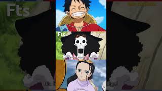 Robin makes it very simple onepiece fyp fypシ゚viral robin luffy marco [upl. by Reinald]