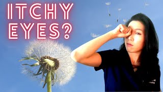 Symptoms and Treatment of Eye Allergies  What You Can Do During Seasonal Allergy Season [upl. by Akital727]