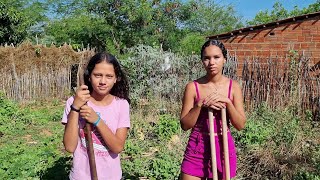 PLANTANDO AS FRUTEIRAS COM ISABELA sertanejo [upl. by Abekam]