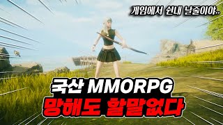 쉰내나는 국산 MMORPG 로한2 솔직한 리뷰 [upl. by Mildred735]